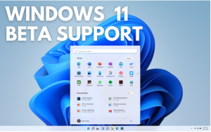 Windows 11 Public Beta Insider Testing & Support